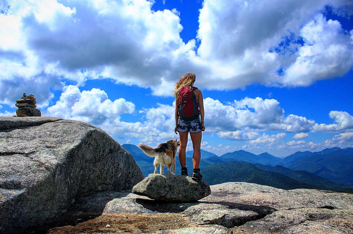 Hiking dog about to climb 46th Adirondack High Peak