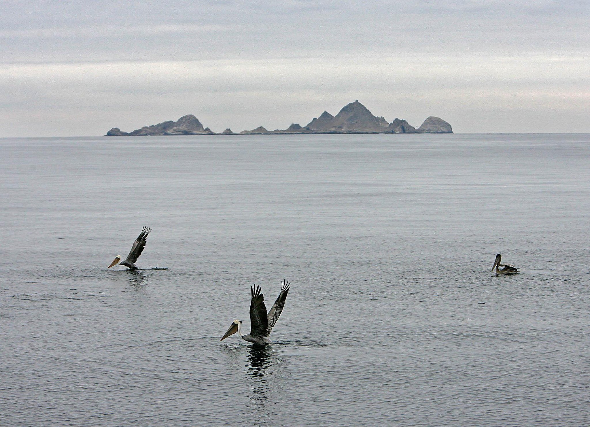 Bide your time no longer, the fish are biting 