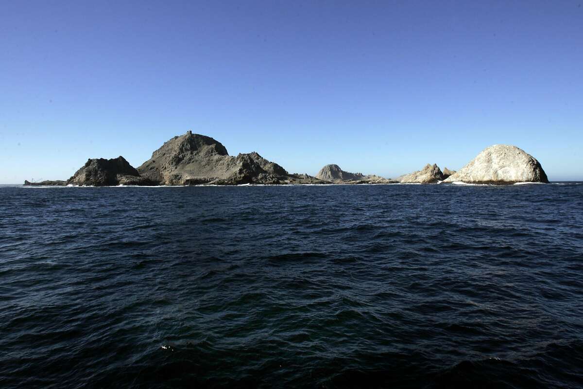 farallon islands boat tour