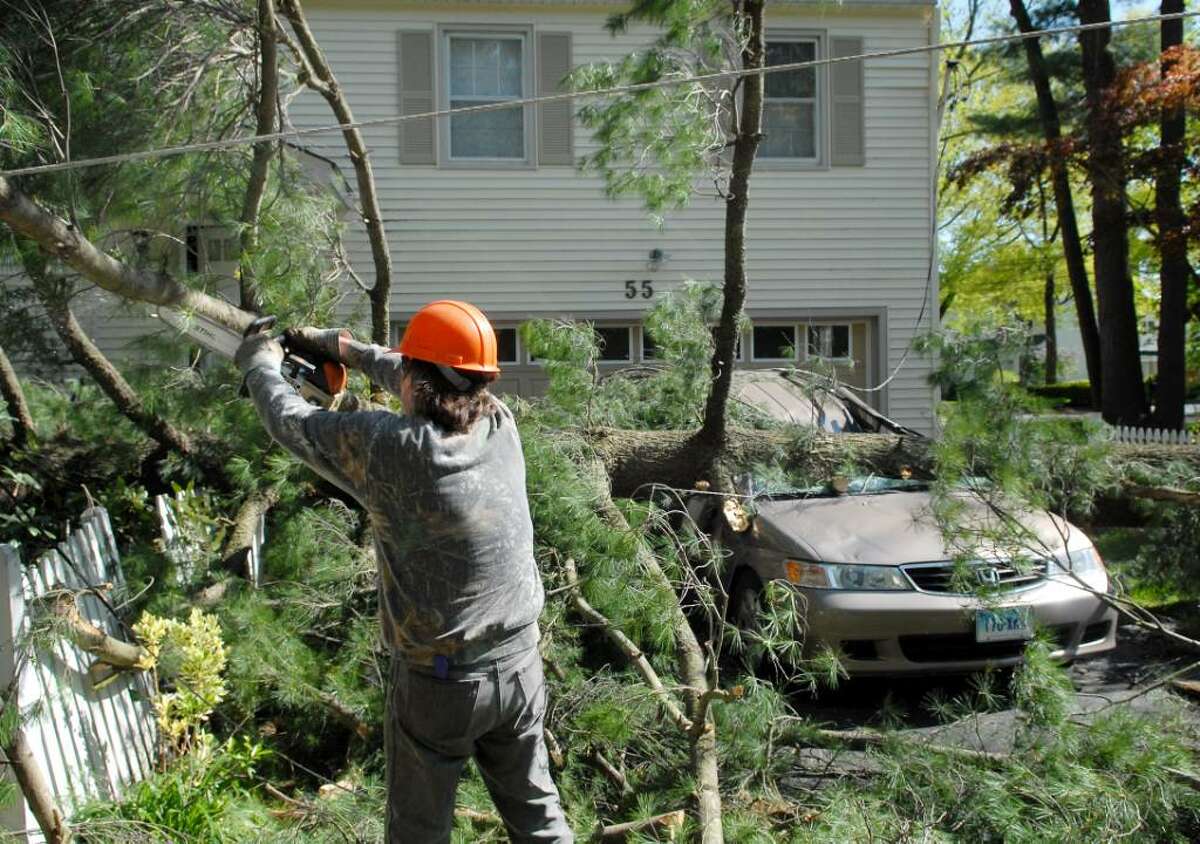 Town of Greenwich tree department worker, Joe Stempien, cuts away branches of a pine tree, which blew over onto a vehicle at 55 Harding Road in Old Greenwich during high winds, Thursday, April 29, 2010. According to Peter Fusaro of Old Greenwich, who lives in the neighborhood, no one was injured.