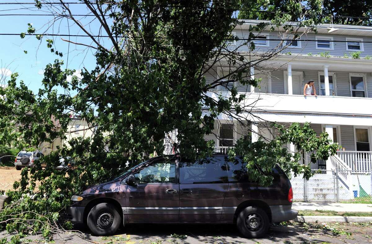 Multiple trees lay on a minivan parked on Kossuth Street in Bridgeport Friday June 25, 2010. The damage was the result of a tornado with 100 mph winds that touched down in Bridgeport Thursday.