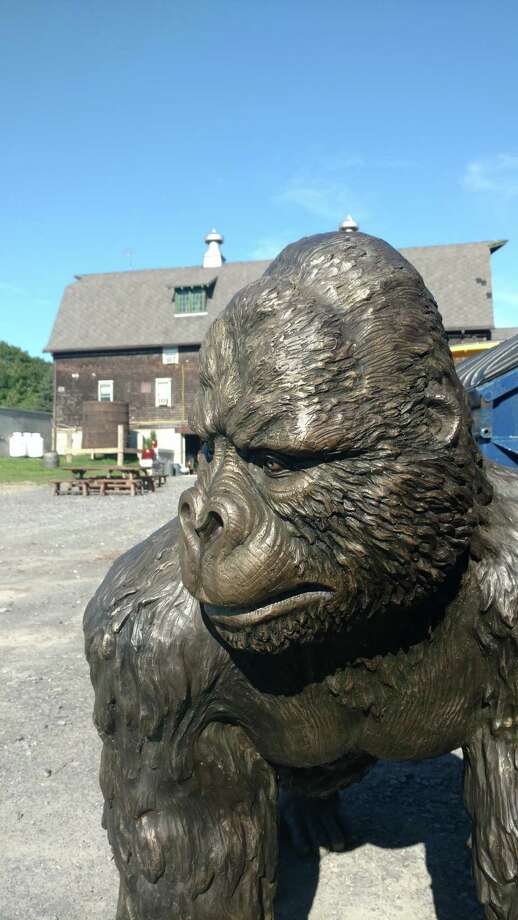 Gorilla Statue Stolen From Slingerlands Found With Note - Times Union