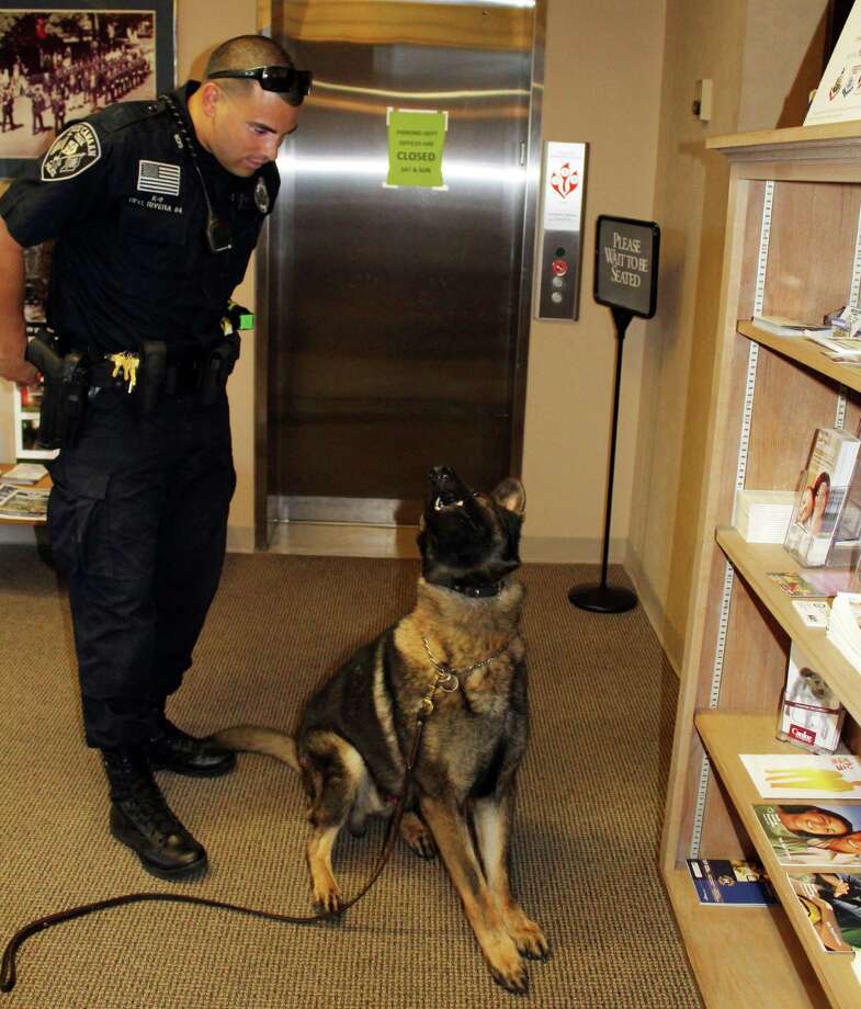 cool cop k9