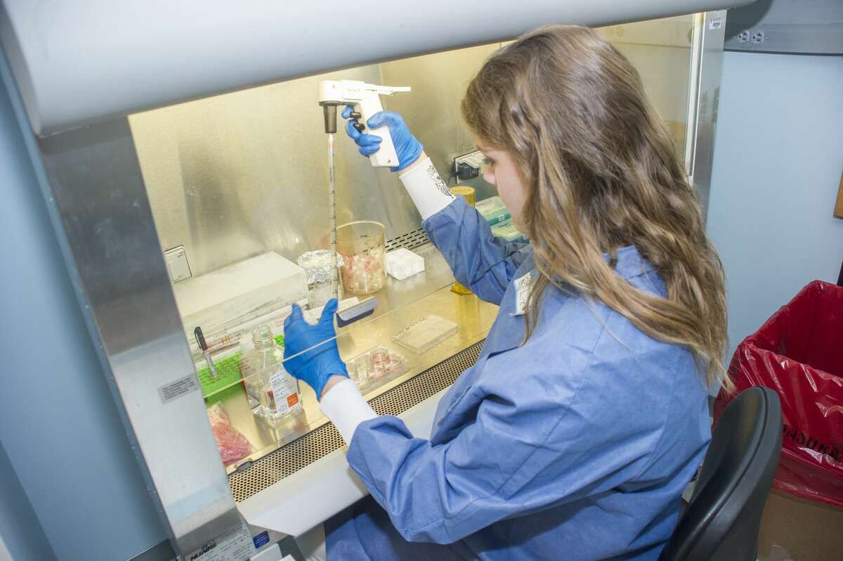 Photos How UAlbany students are spending their summer