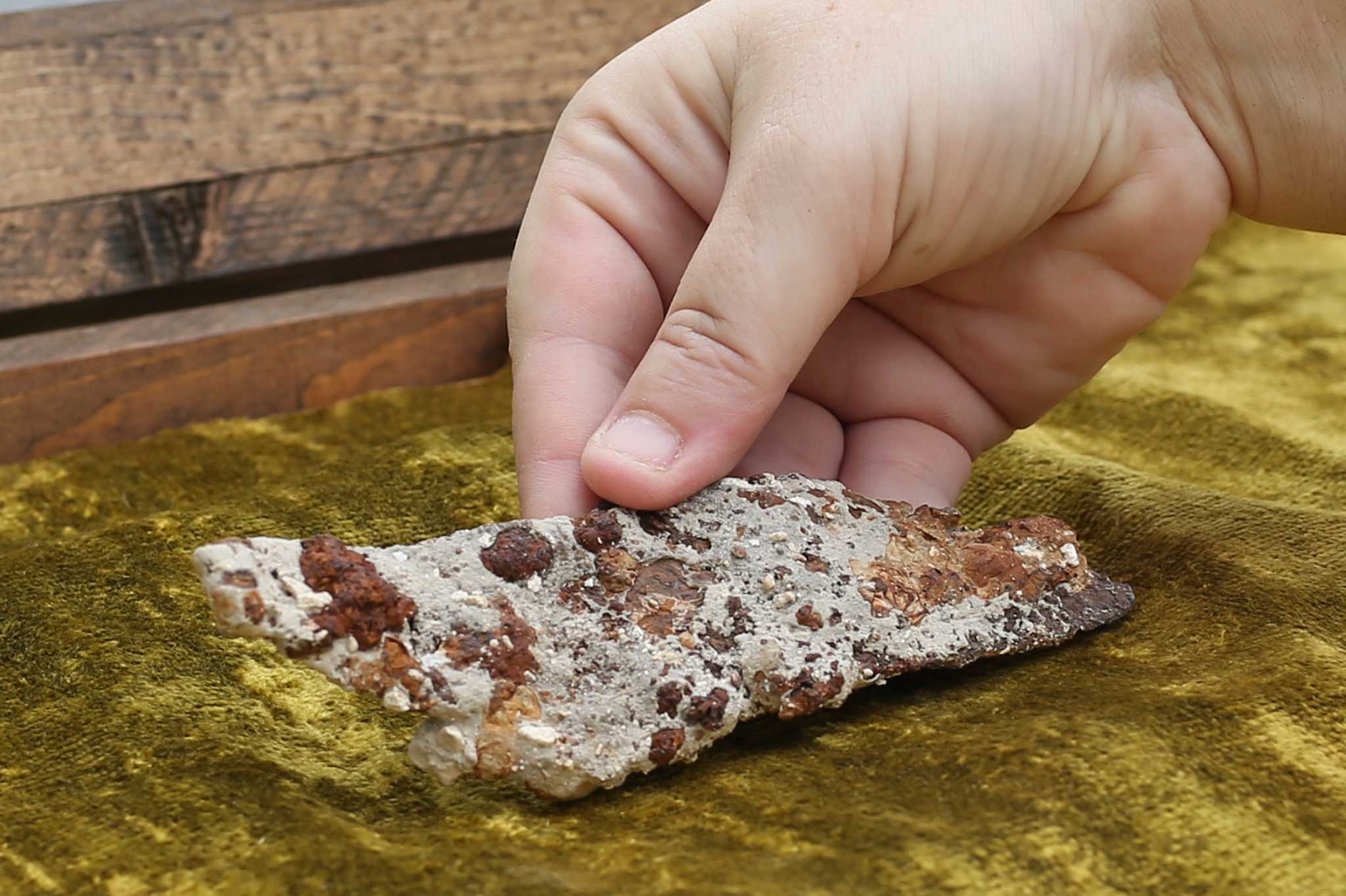 More digs sought to reveal Alamo secrets