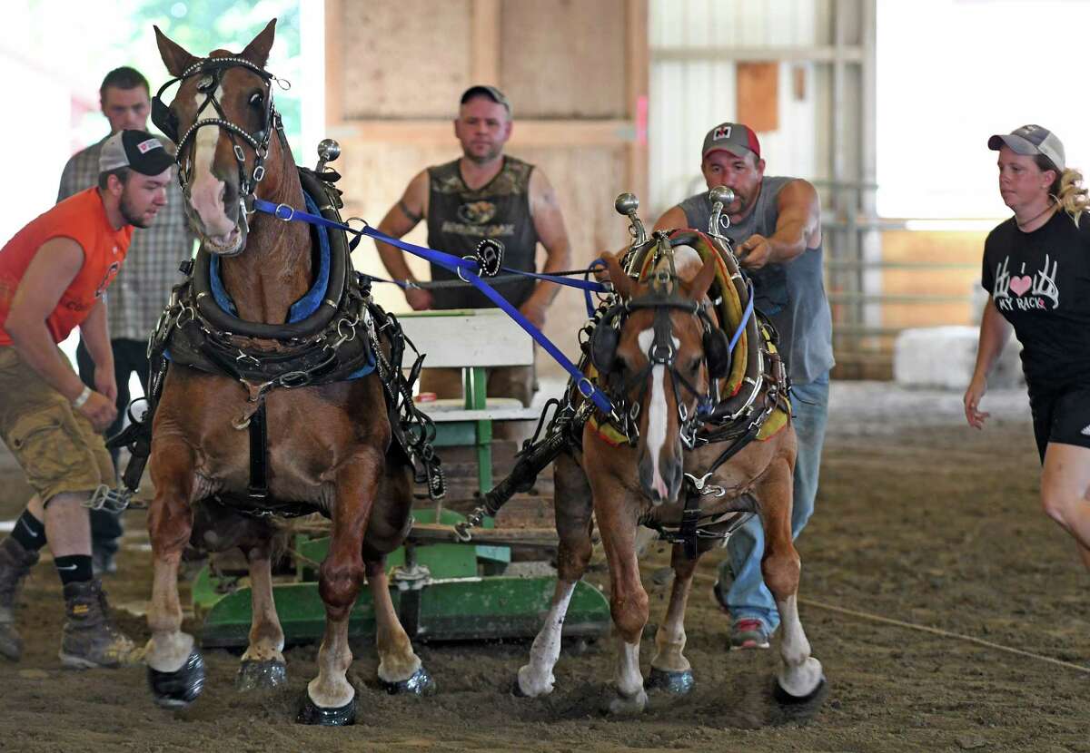 Photos Horsepower competition