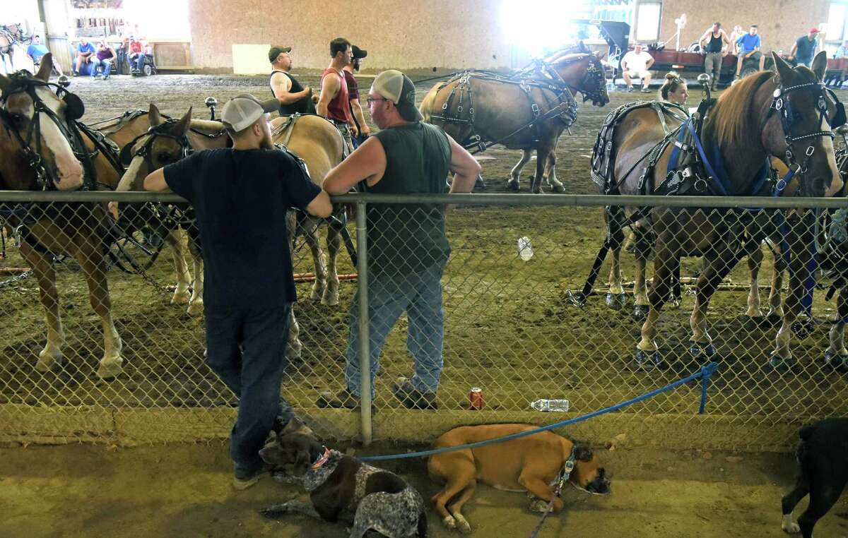 Photos Horsepower competition