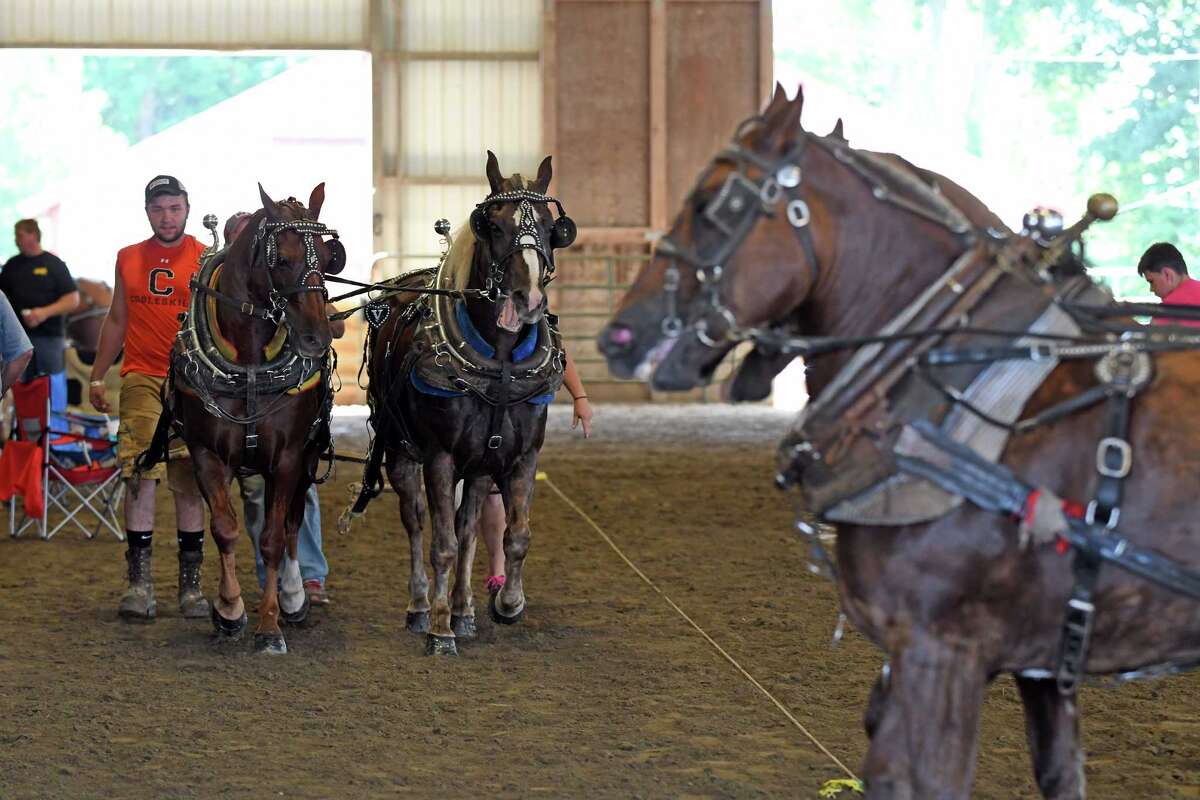 Photos Horsepower competition