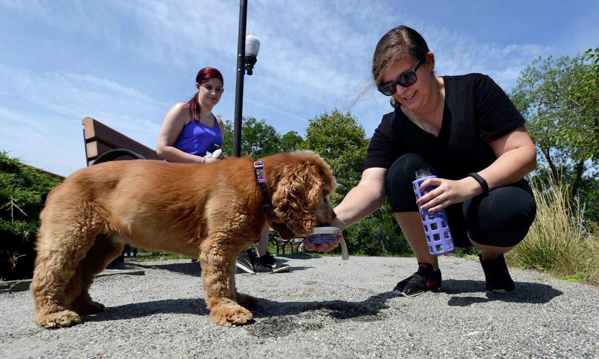 Zoe Finiasz, 20, of Stamford, gives water to Scarlet, her 12-year-old Mixed Breed Cocker Spaniel as they take a break along the walking path at Kosciuszko Park in Stamford, Conn. on Aug. 9, 2016. The two often join Finiasz's sister Kendall, 19, for a daily walk in the area, and decided to check out the park.