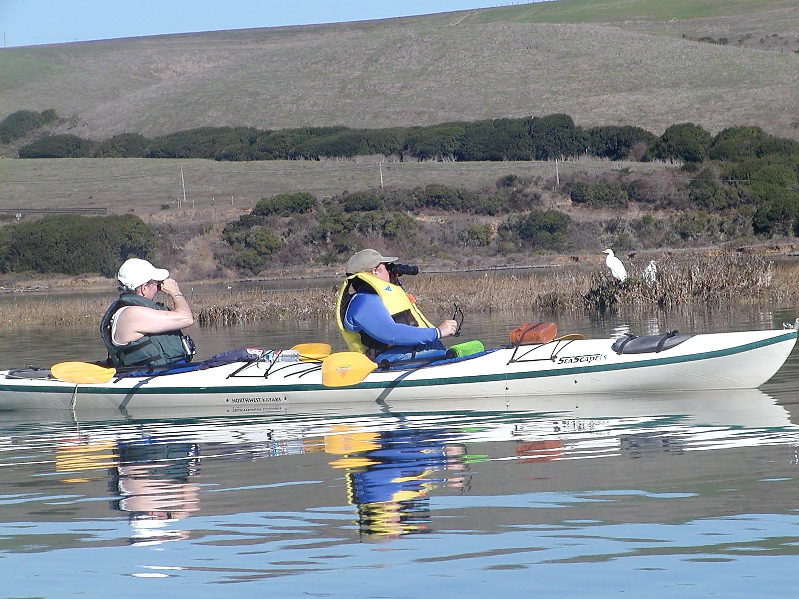 McCovey Cove kayakers plan to float at fanless Giants games: 'What I live  for