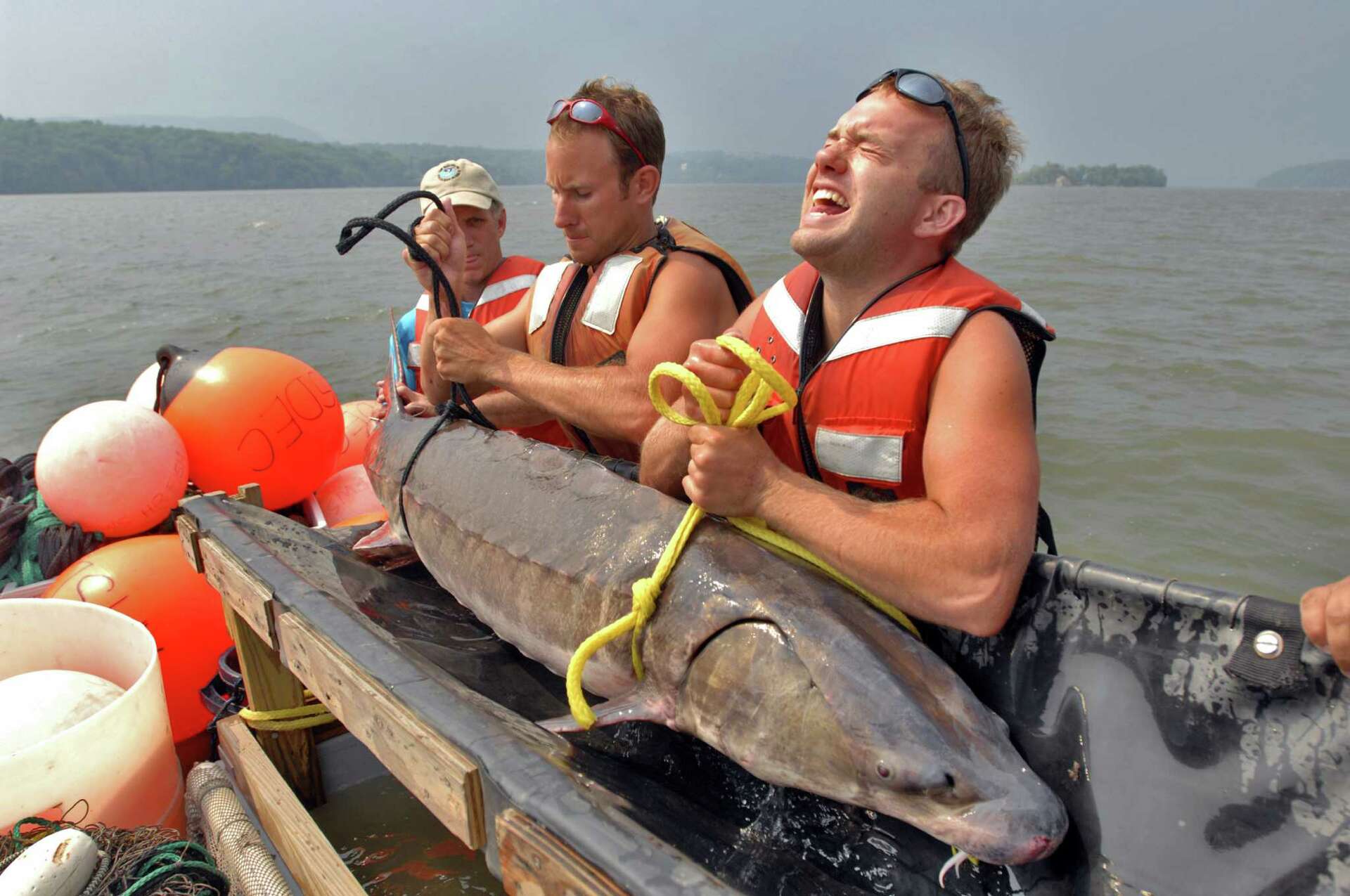 6-foot-9-inch fish found on shore of Lake Champlain