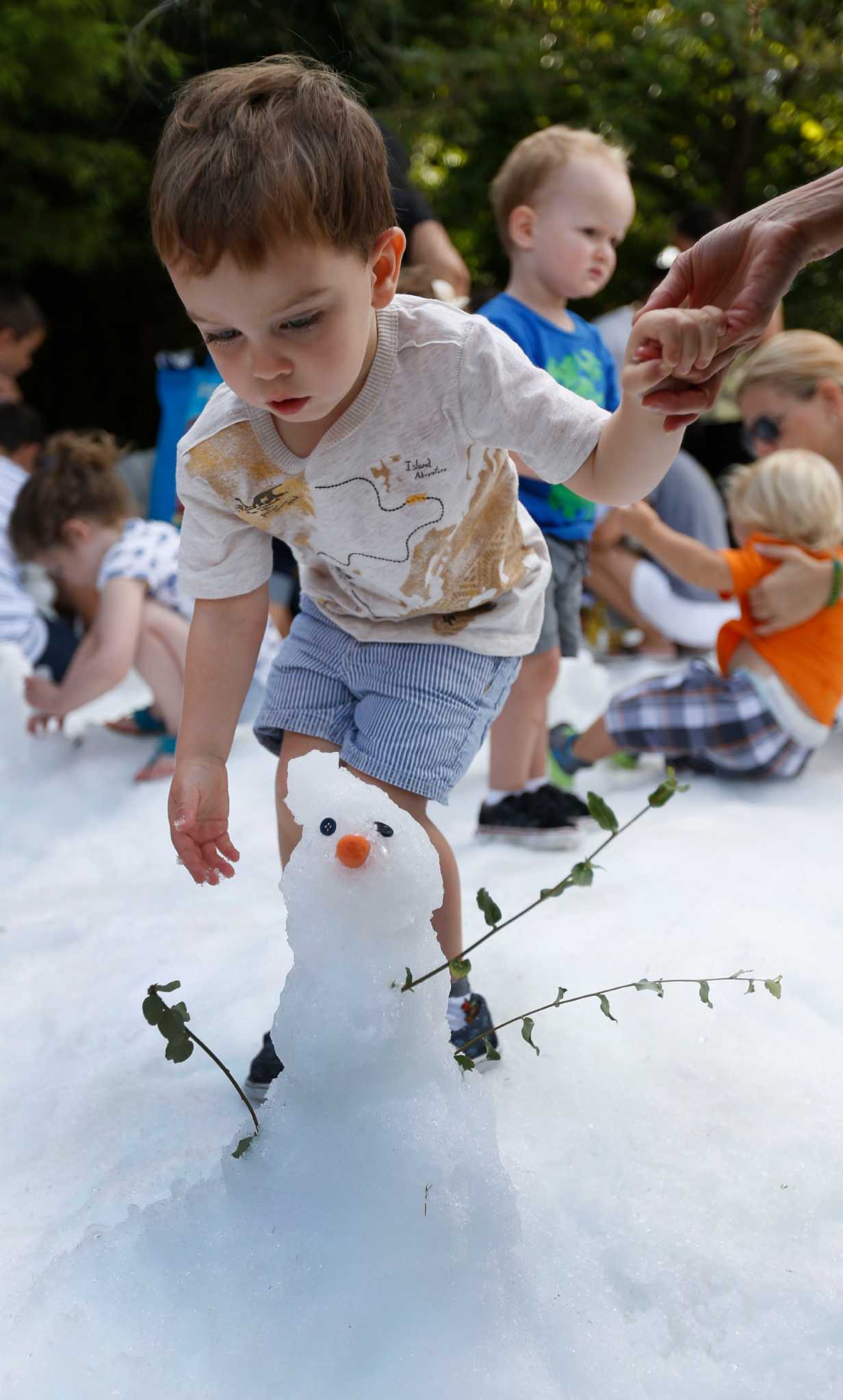 Family friendly birds and bingo