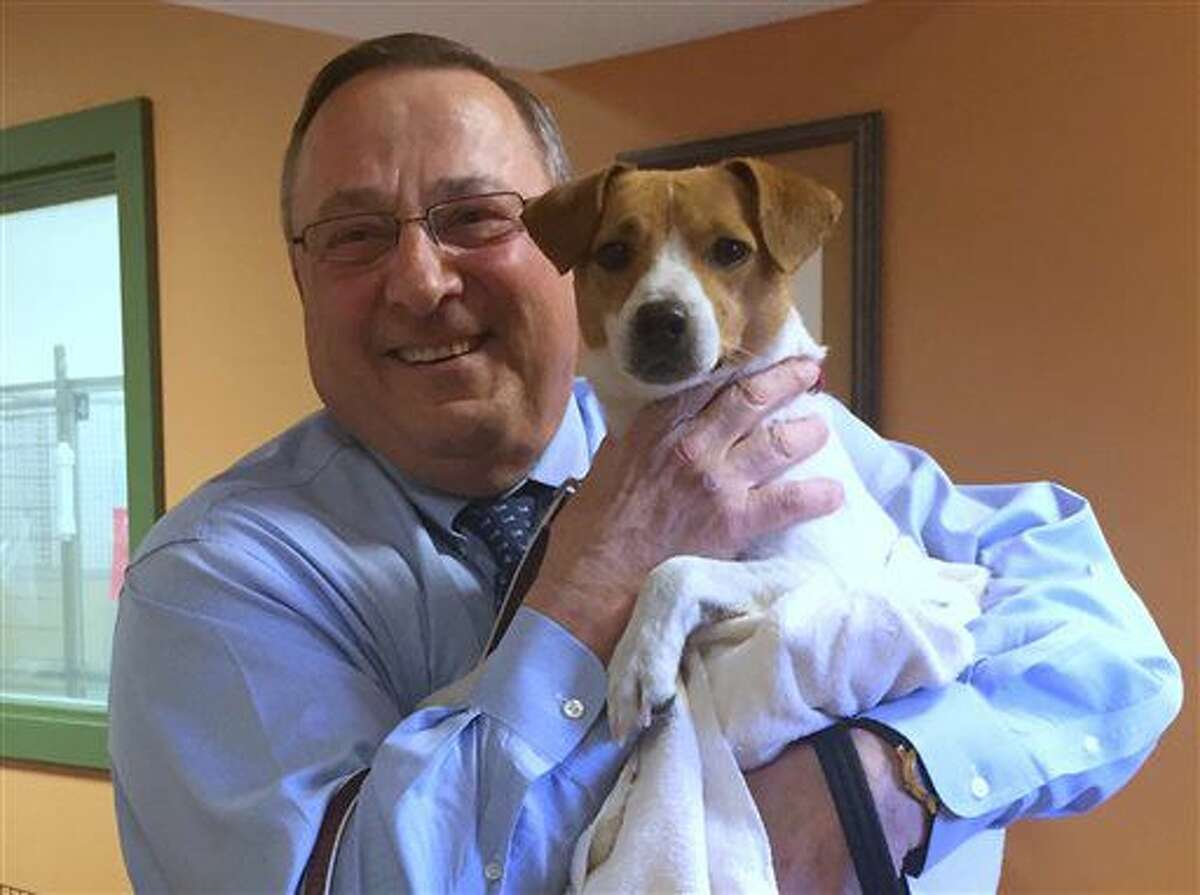 In this photo provided by the Greater Androscoggin Human Society, Maine Gov. Paul LePage holds a dog he adopted and named "Veto" on Tuesday, May 3, 2016, at the Greater Androscoggin Humane Society in Lewiston, Maine. LePage holds the state record for vetoes. (Zachary Black/Greater Androscoggin Human Society via AP)