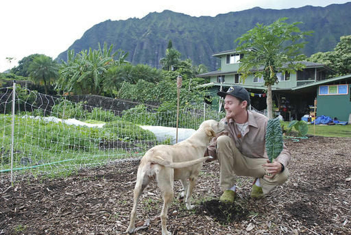 In this photo taken Monday, May, 9, 2016, Sean Anderson, founder and farm manager of Green Rows Farm, greets his dog in Waimanalo, Hawaii. Anderson hopes to take advantage of a bill passed by the Hawaii Legislature which sets up tax breaks for farmers to offset the cost of becoming certified as organic by the U.S. Department of Agriculture. (AP Photo/Cathy Bussewitz)