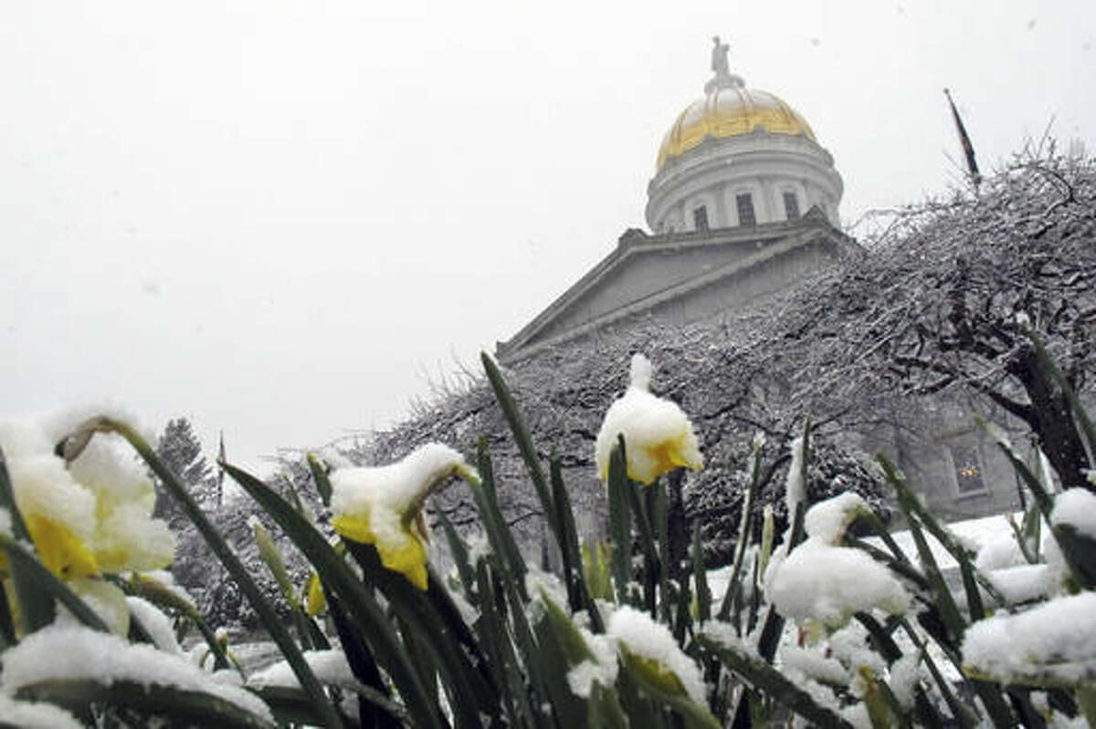 Snow from a late-season storm covers flowers on the grounds of the Vermont Statehouse Tuesday, April 26, 2016, in Montpelier. Vt. Forecasters said it's late for snow but it's not unprecedented to have snow in late April in northern New England. (AP Photo/Wilson Ring)