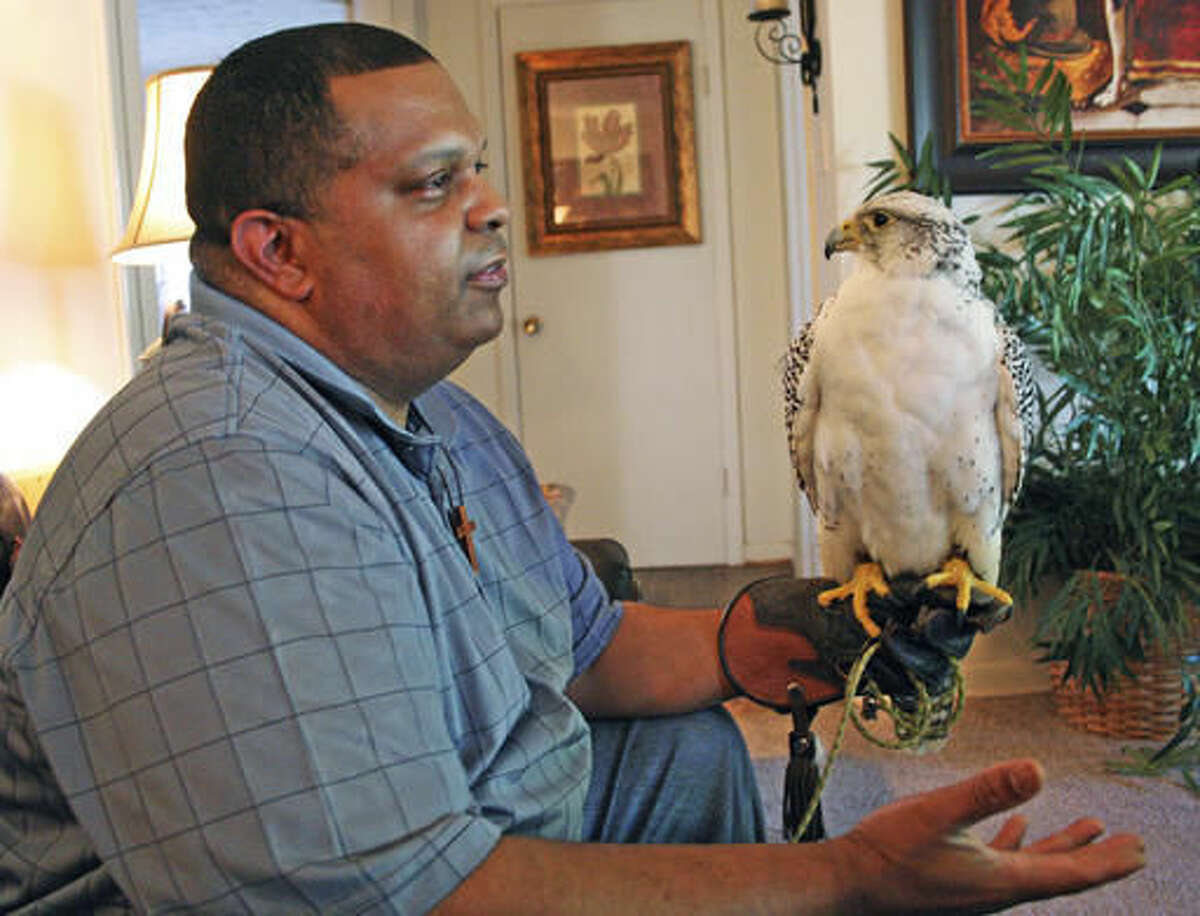 Bruce Williams talks about Faith, a 12-year-old hyrfalcon, in July 2016, in Junction City, Ky.. Williams has two types of birds-sakers and gyrfalcons. Gyrfalcons are the largest type of falcons and at one time were worth their weight in gold, he said. They would even be used in ransom payments instead of money. (Kendra Peek/The Advocate-Messenger via AP)