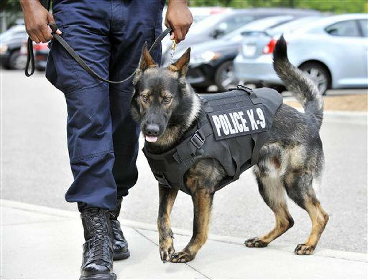 5 Detroit police dogs to wear bullet-resistant vests