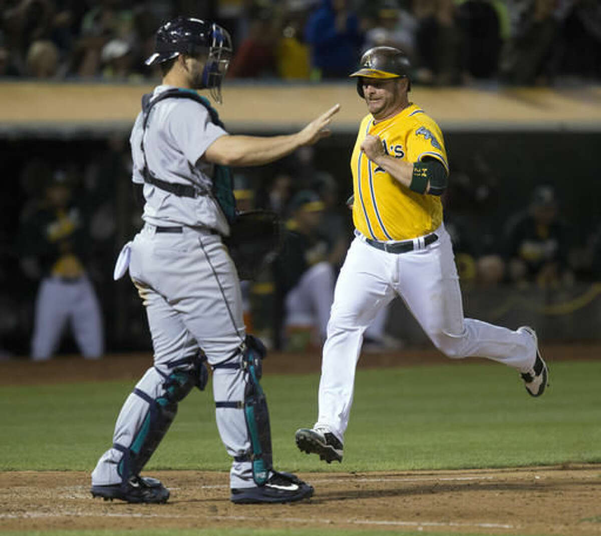 CORRECTS TO SINGLE INSTEAD OF DOUBLE BY YONDER ALONSO - Oakland Athletics' Stephen Vogt scores past Seattle Mariners' Mike Zunino on Yonder Alonso's two-run single during the sixth inning of a baseball game Friday, Aug. 12, 2016, in Oakland, Calif. (AP Photo/D. Ross Cameron)