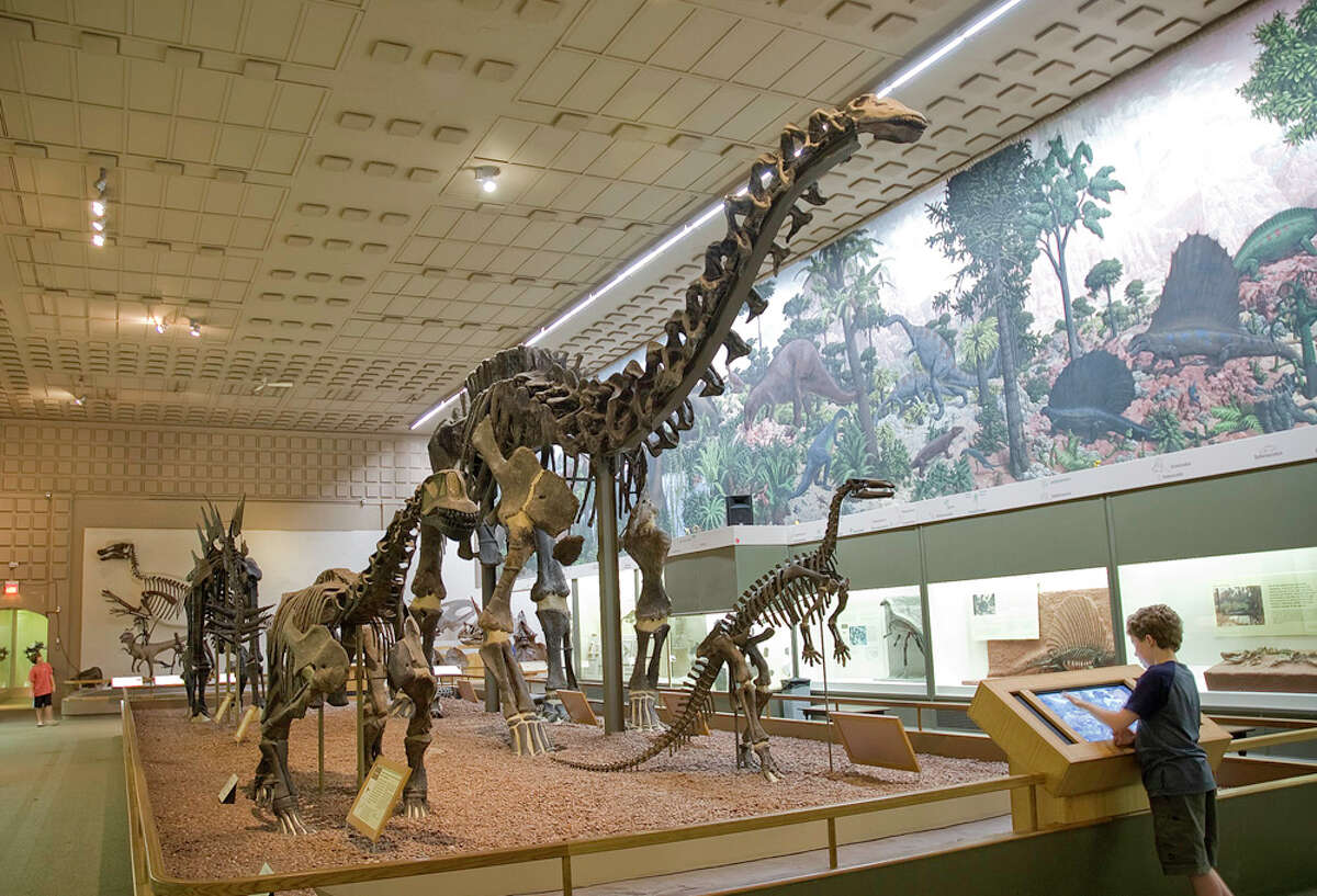 dinosaur exhibit children's museum