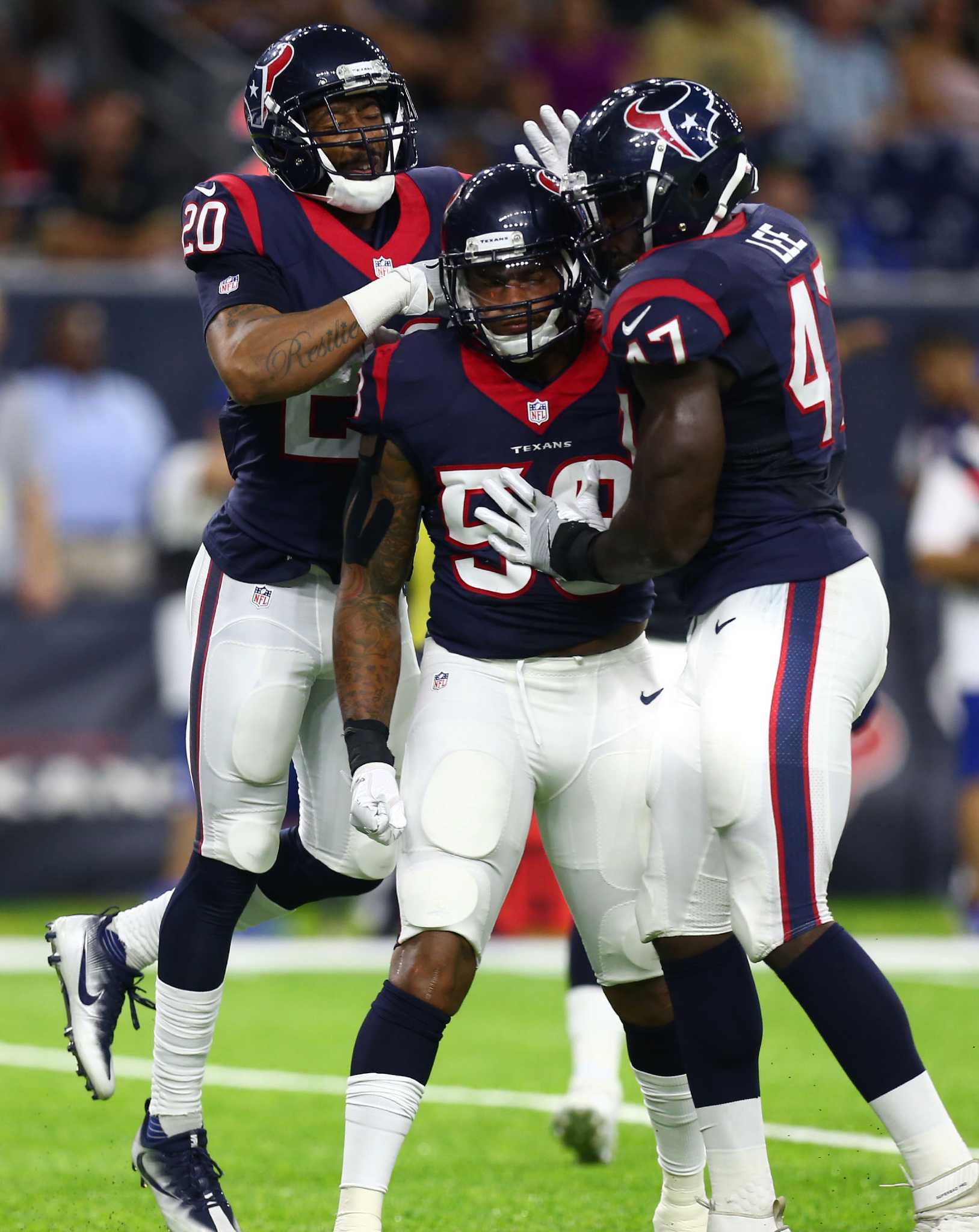 NRG Stadium Texans Field, Houston Texans, Karen