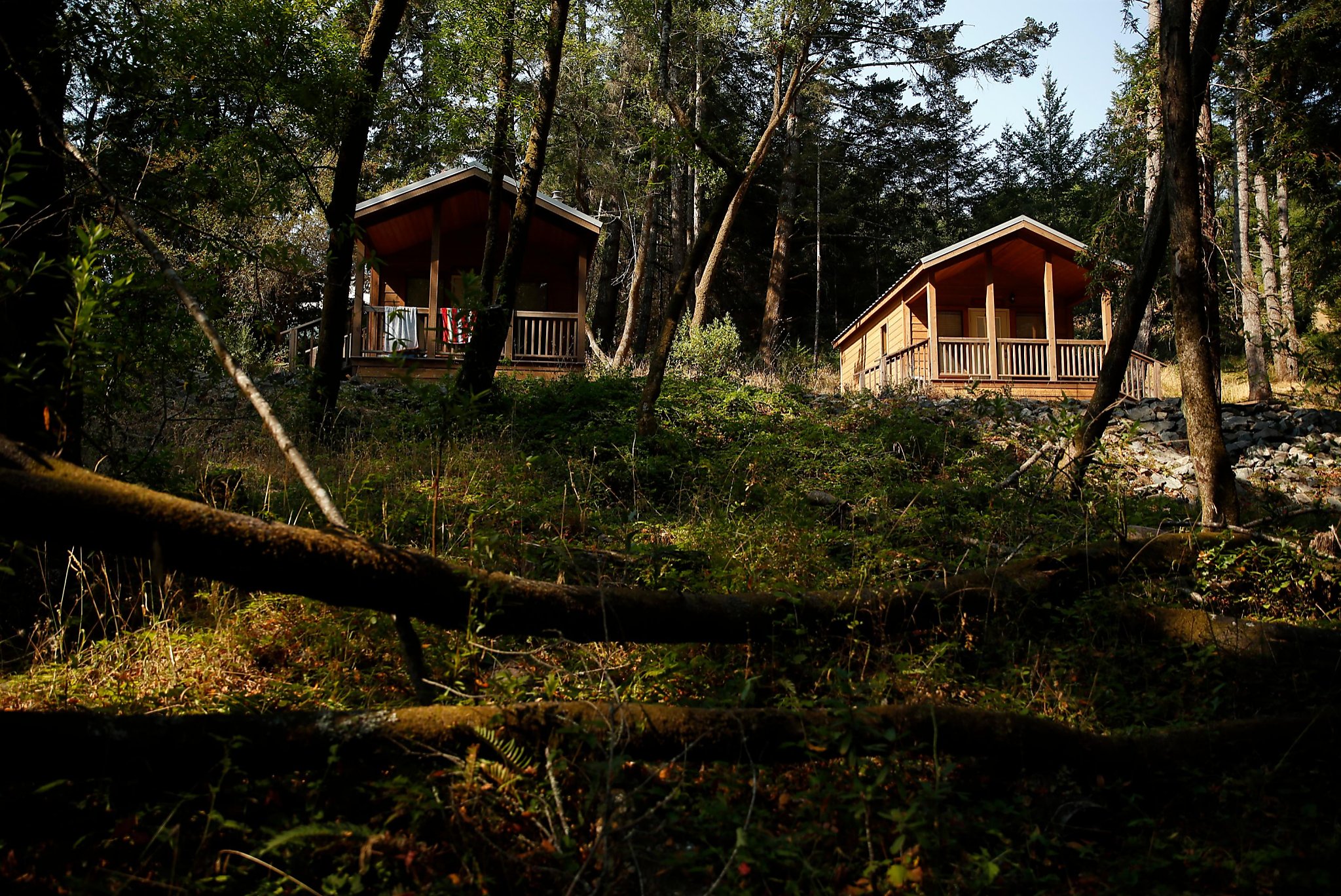 Sunday Getaway To Samuel P Taylor State Park Sfchronicle Com