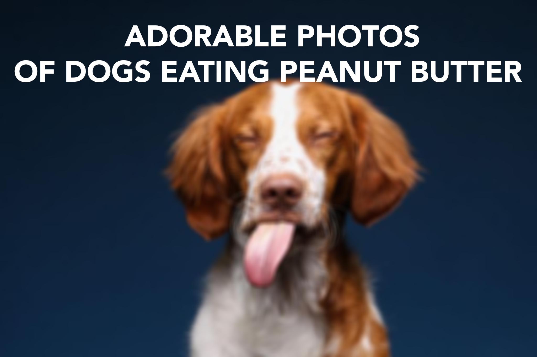 These photos of dogs eating peanut butter will make your day