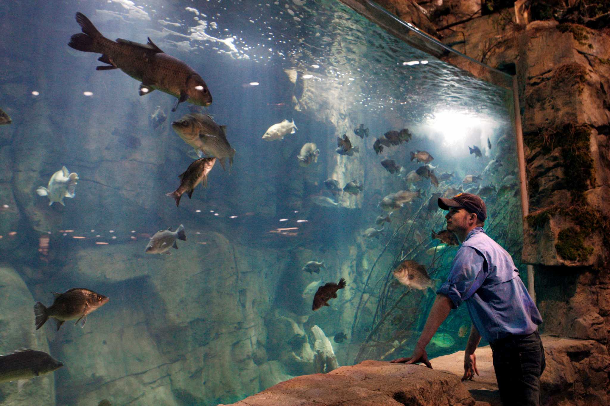 Bass Pro Shops – Aquarium and Fish Feeding