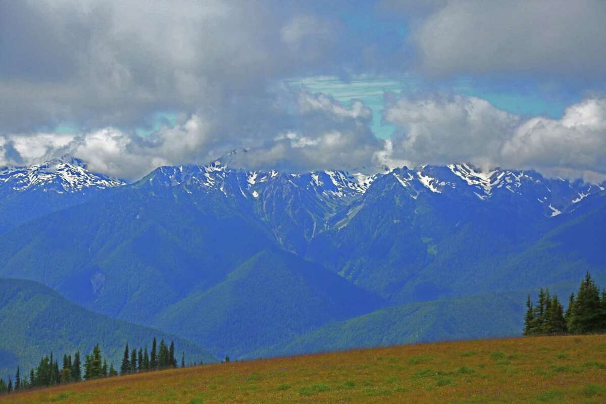 The view of the peaks of the Olympic Mountains makes the drive up to Hurricane Ridge one of the most popular activities in Olympic National Park.