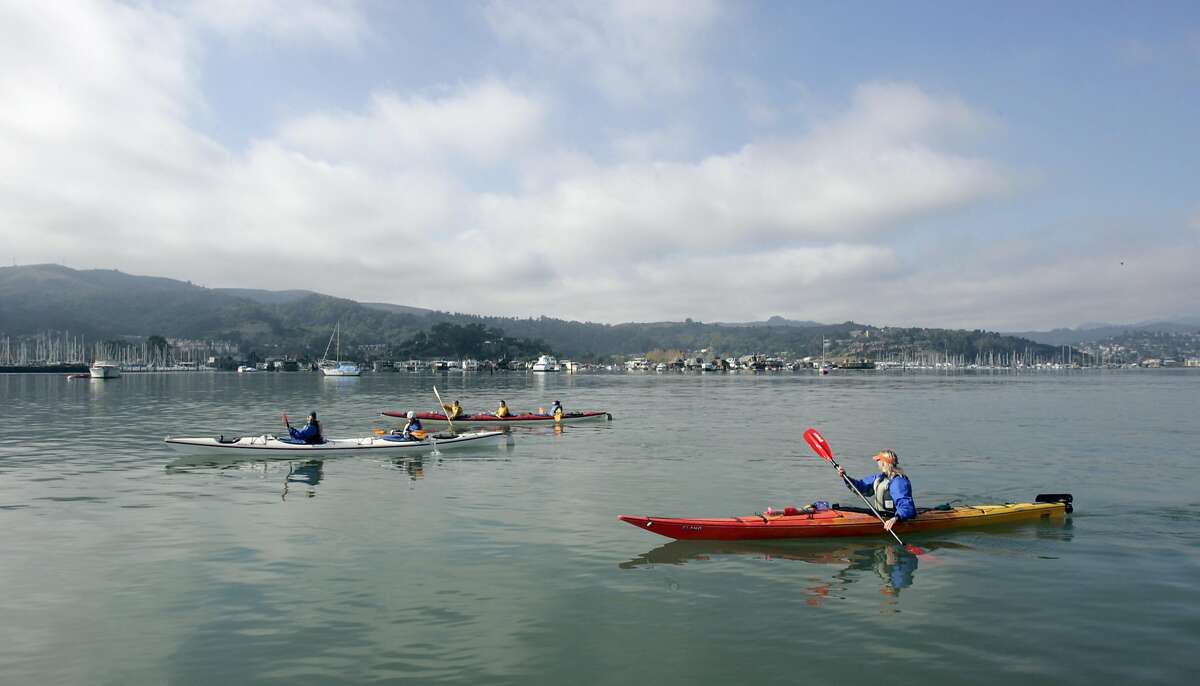 Richardson Bay try is a popular destination point for kayak novices.