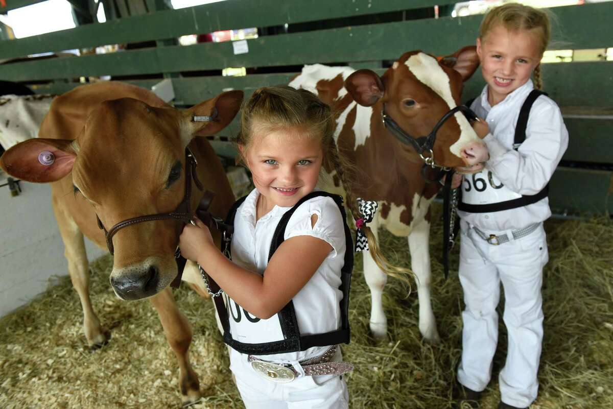 Grace Depew, 6, of Argyle, left, with her Jersey heifer, Gold, and cousin Lily Olsen, 6, of Granville with her Holstein heifer, Lil, pause for a picture during the Washington County Fair on Wednesday, Aug. 24, 2016, at the fairgrounds in Easton, N.Y.The fair runs through Sunday. (Cindy Schultz / Times Union)