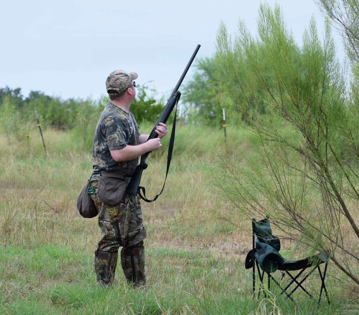 Expectations high for South Zone dove season