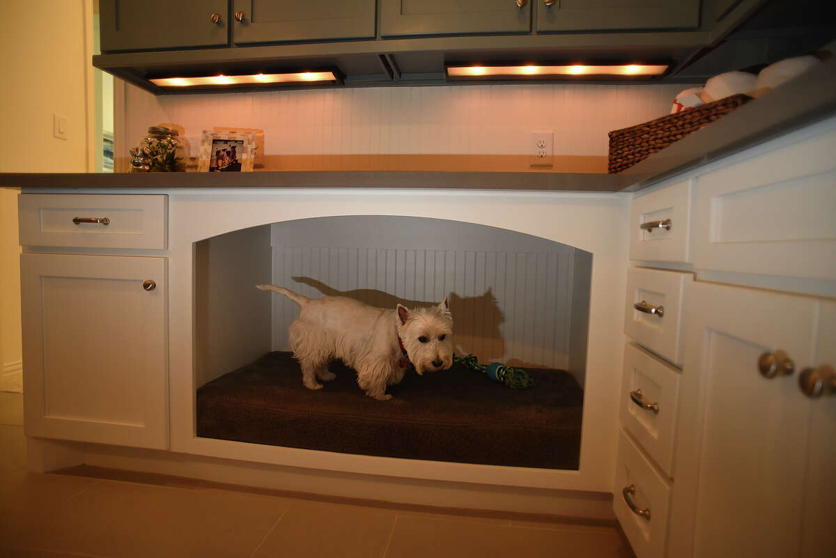Taylor Morrison will join builders such as Drees Custom Homes in offering amenities for dogs in new homes. A built-in pet bed is an option at homes by Drees in the Woodtrace neighborhood in Tomball.  (Photo by Jerry Baker/Freelance)