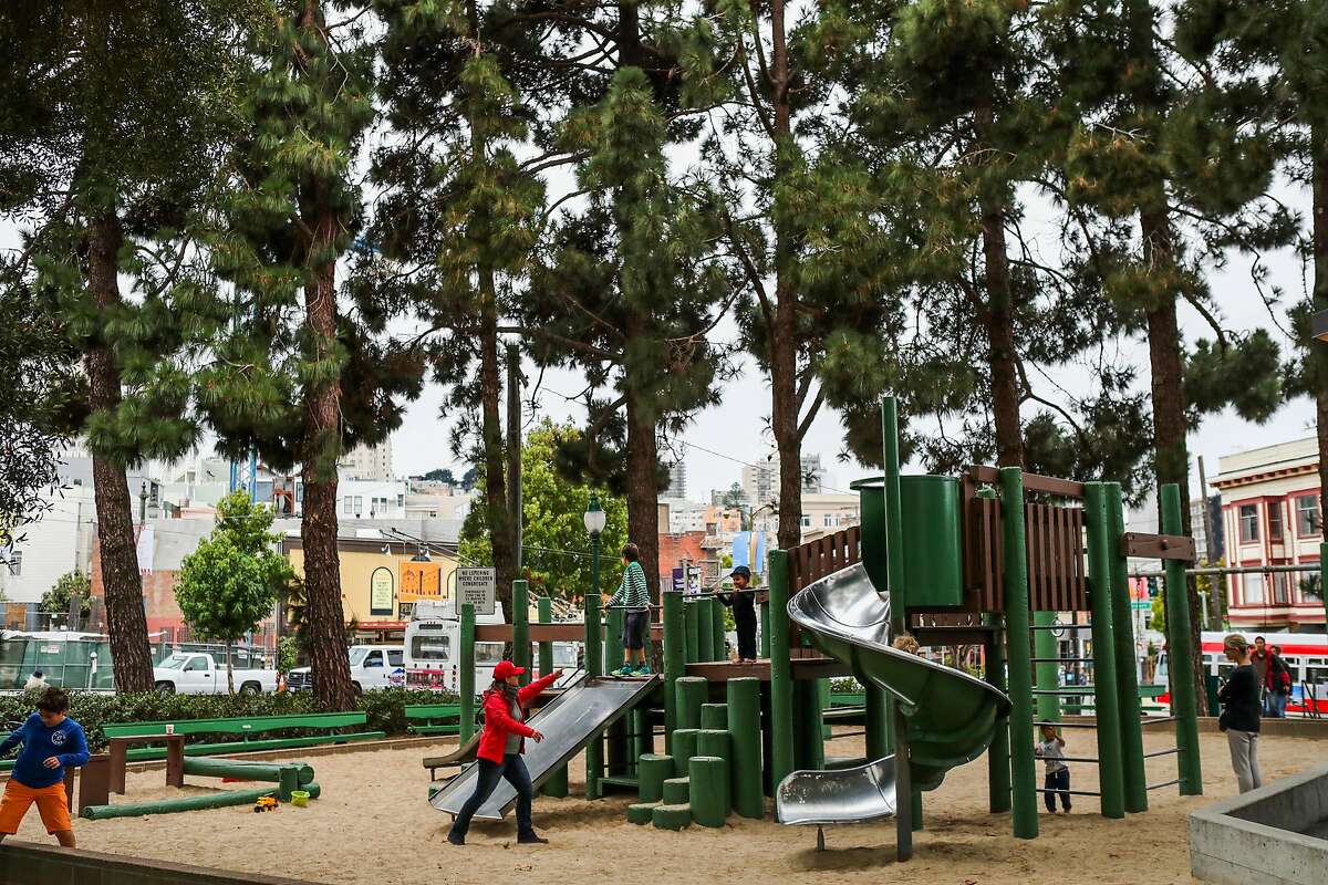 People use the playground next to grouping of pine trees in, San Francisco, California, on Thursday, Aug. 25, 2016. The limb of one of the pine trees (second from left) paralyzed Emma Zhou who was near the playground on August 12.