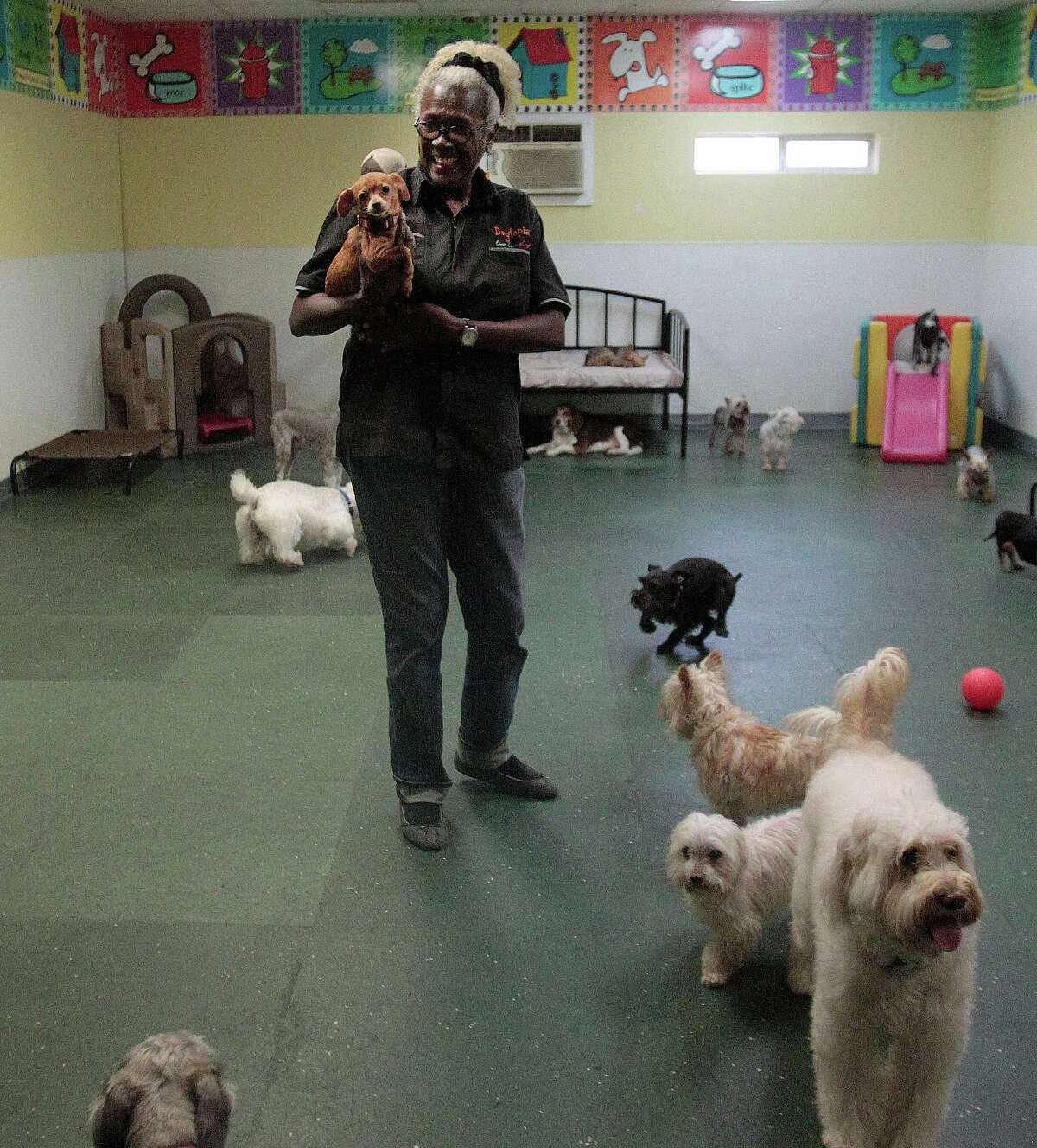 A dog's life 'Day care' franchise expands in Houston