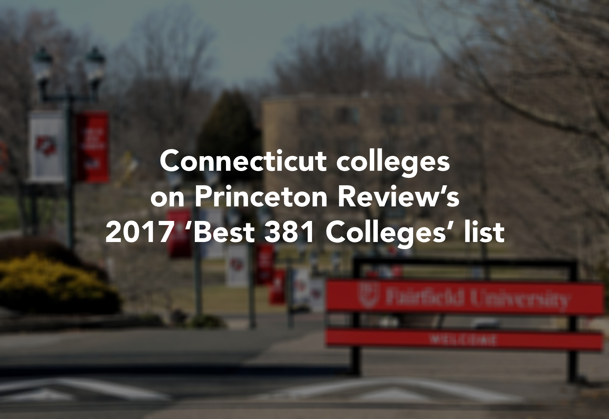 Where Connecticut Universities Ranked On Princeton Review's 'Best 381'