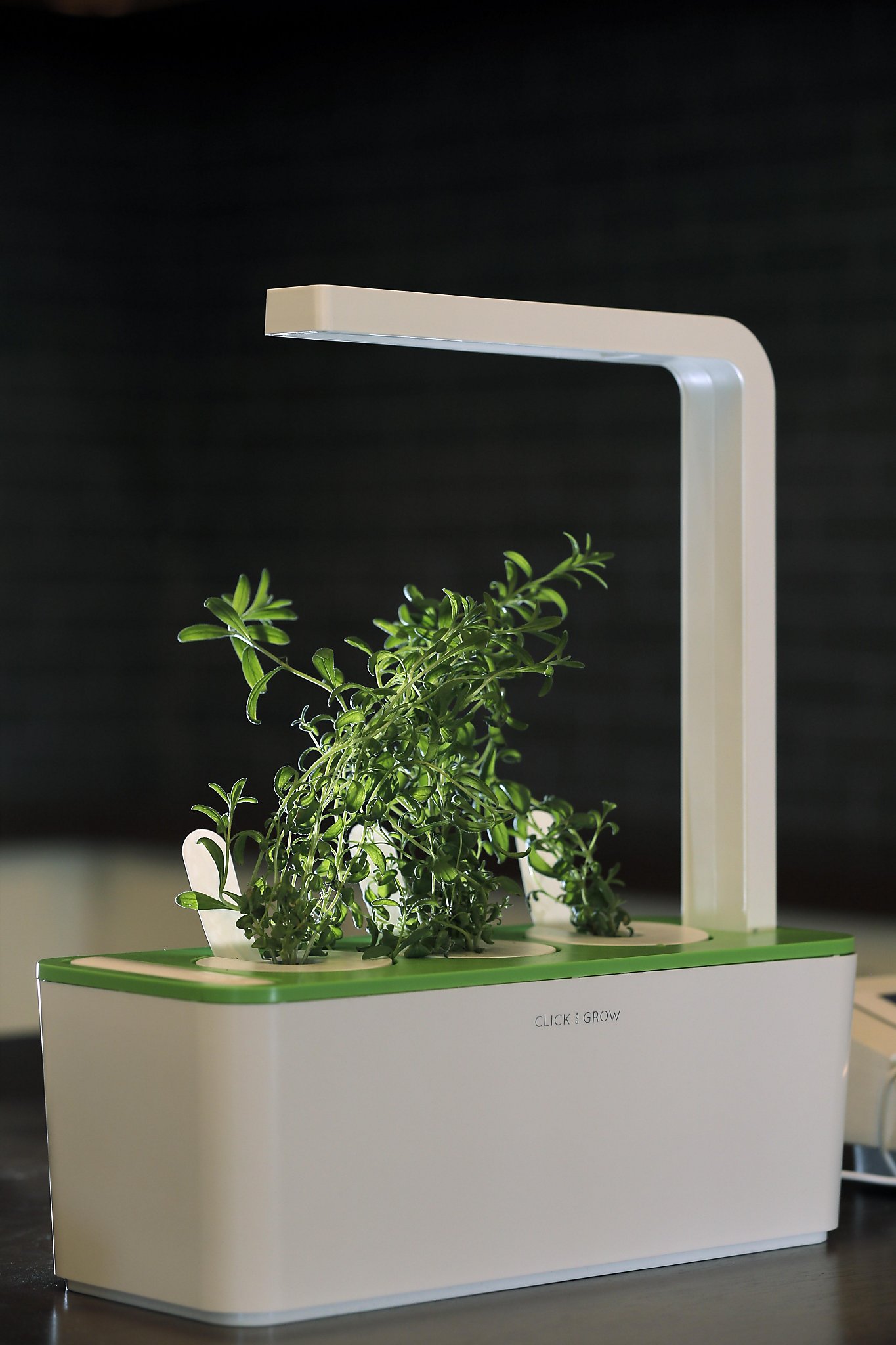 Pandemic gardening moves indoors with a smart garden in the kitchen