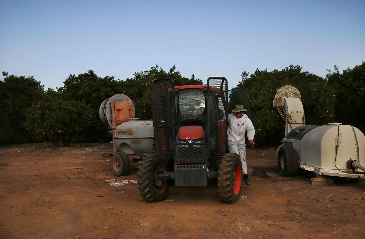 Randy Ishida gets out of his tractor after spraying his citrus trees in the early morning June 3, 2015 in Lindsay, Calif. The Ishida family first starting farming near Lindsay in the early 1900s and are now on their third generation of citrus farmers. This year the family will be "pushing out" or letting go about 50 acres of citrus trees, 45 of which were among the first Robert planted after he purchased land in the early 1950s.