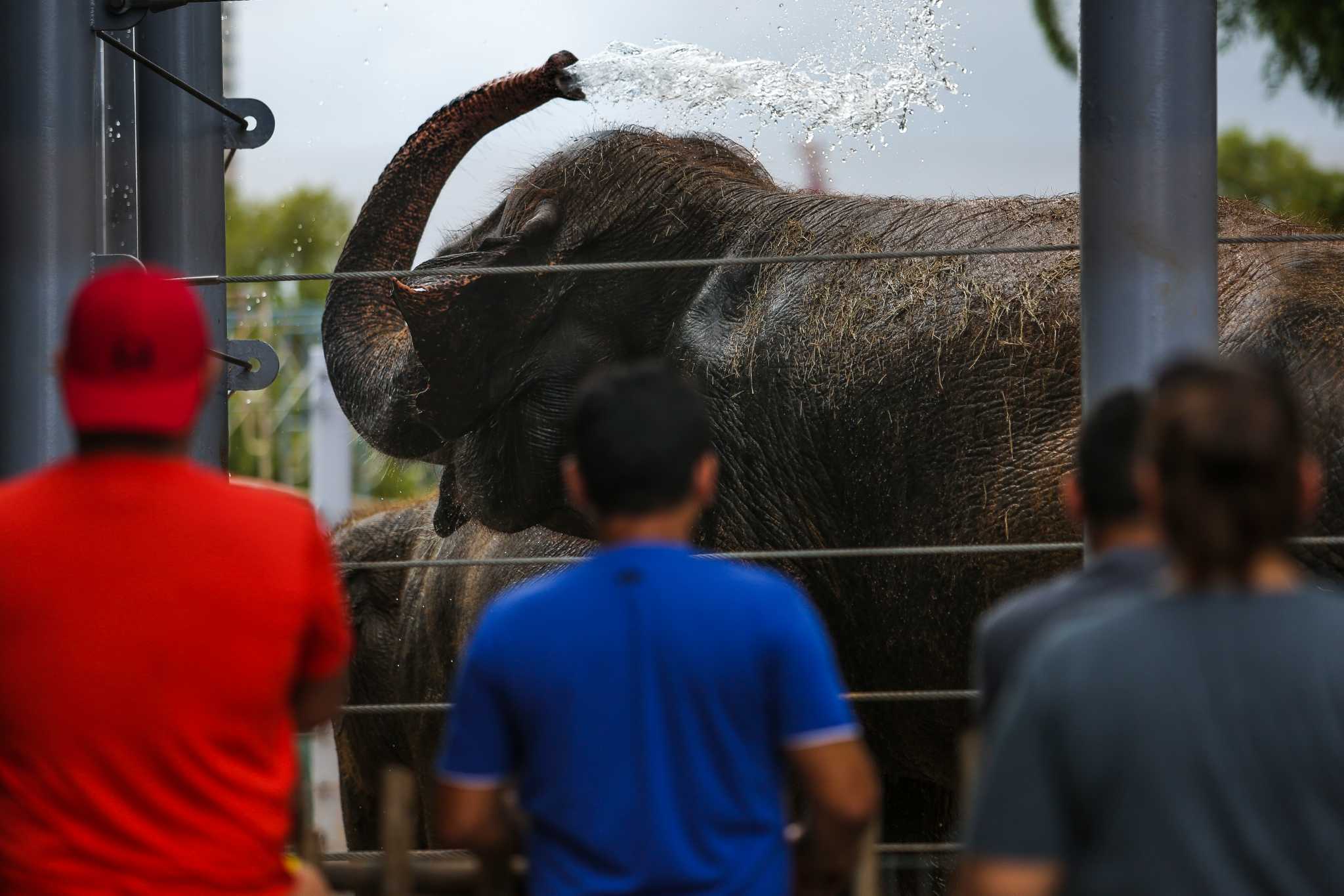Labor Day at the Zoo Families and fun