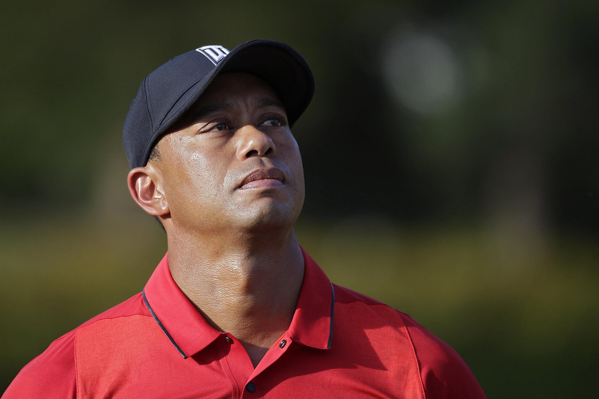 Is Tiger Woods still relevant? Absolutely