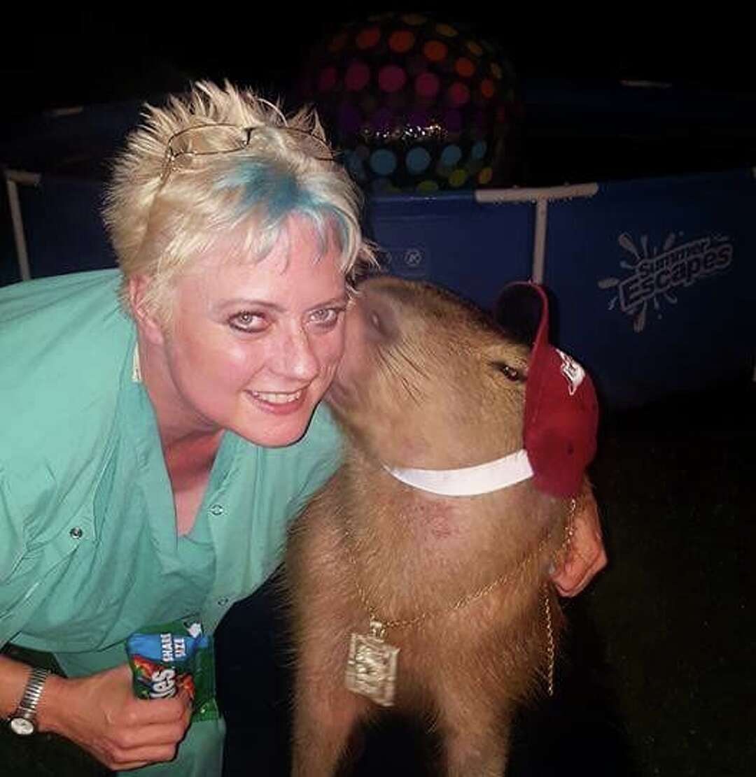 Photos Texas family keeps world's largest rodent as indoor pet