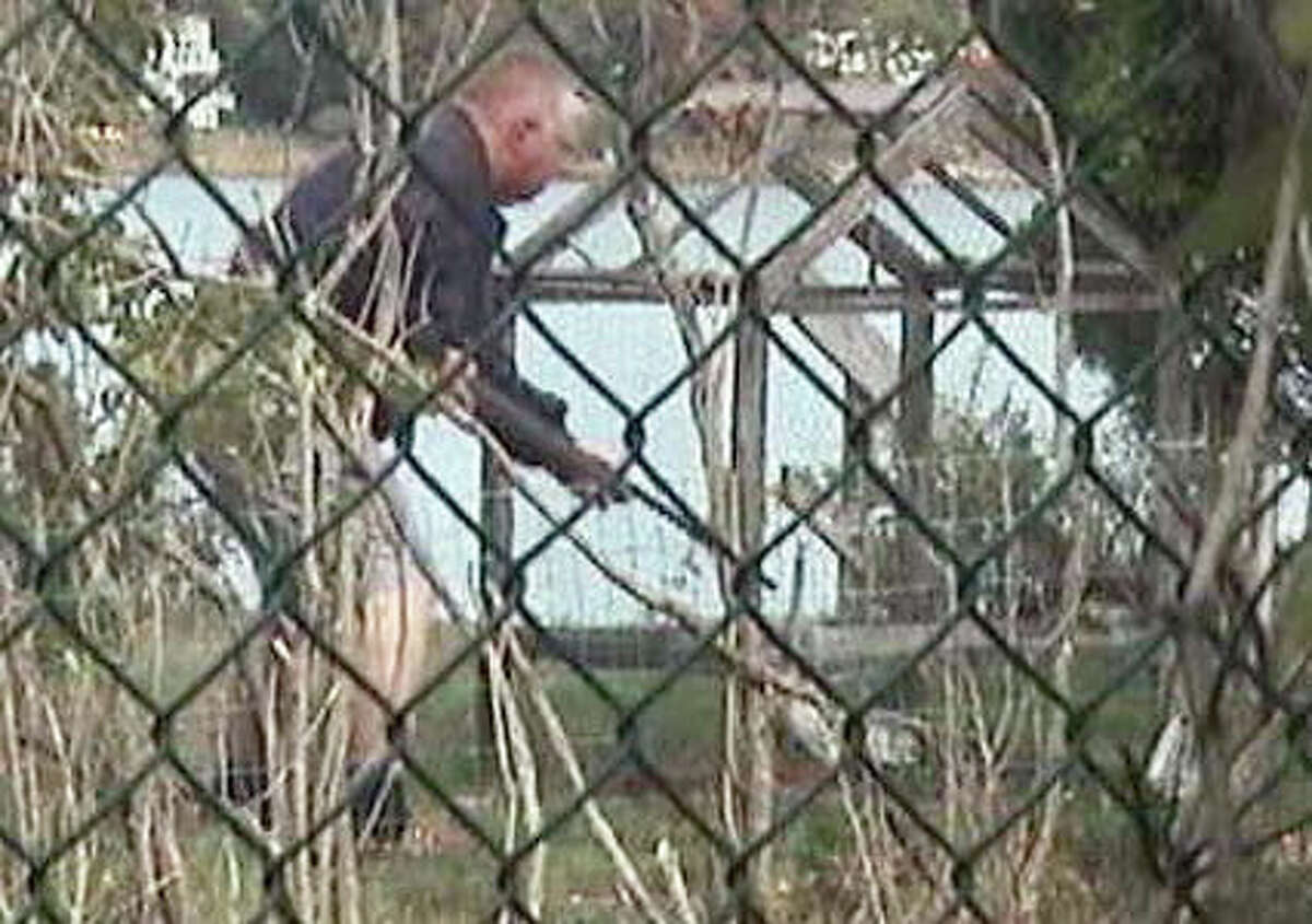 Thomas Kapusta, 63, will be sentenced Monday to killing federally protected hawks at his mother’s home near Cove Island Park. The U.S. Attorney’s Office released photos last week showing Kapusta pointing a pellet rifle into cages where he trapped the hawks.