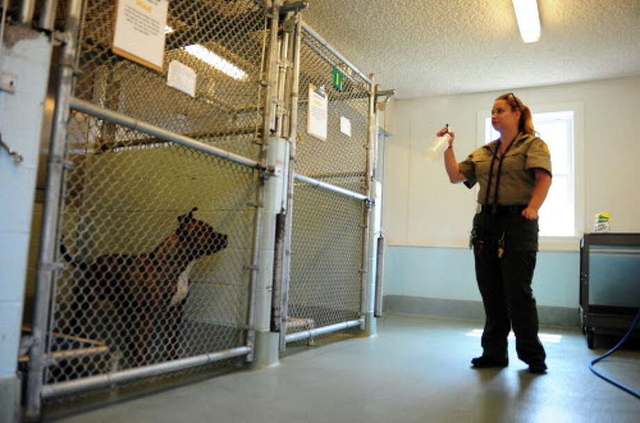 bridgeport animal shelter