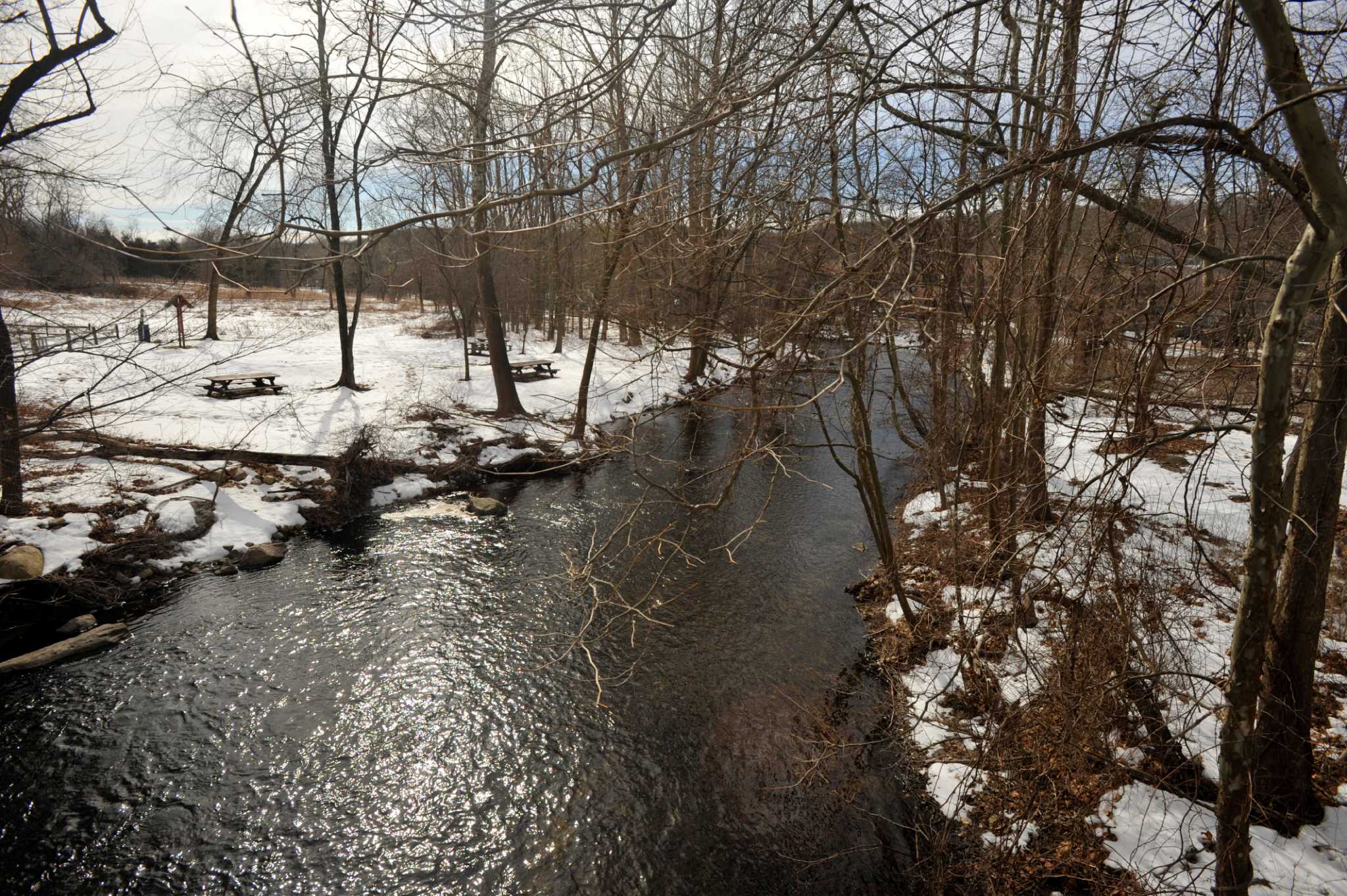 Louise Washer: Schenk’s Island Native Meadow Is Flourishing