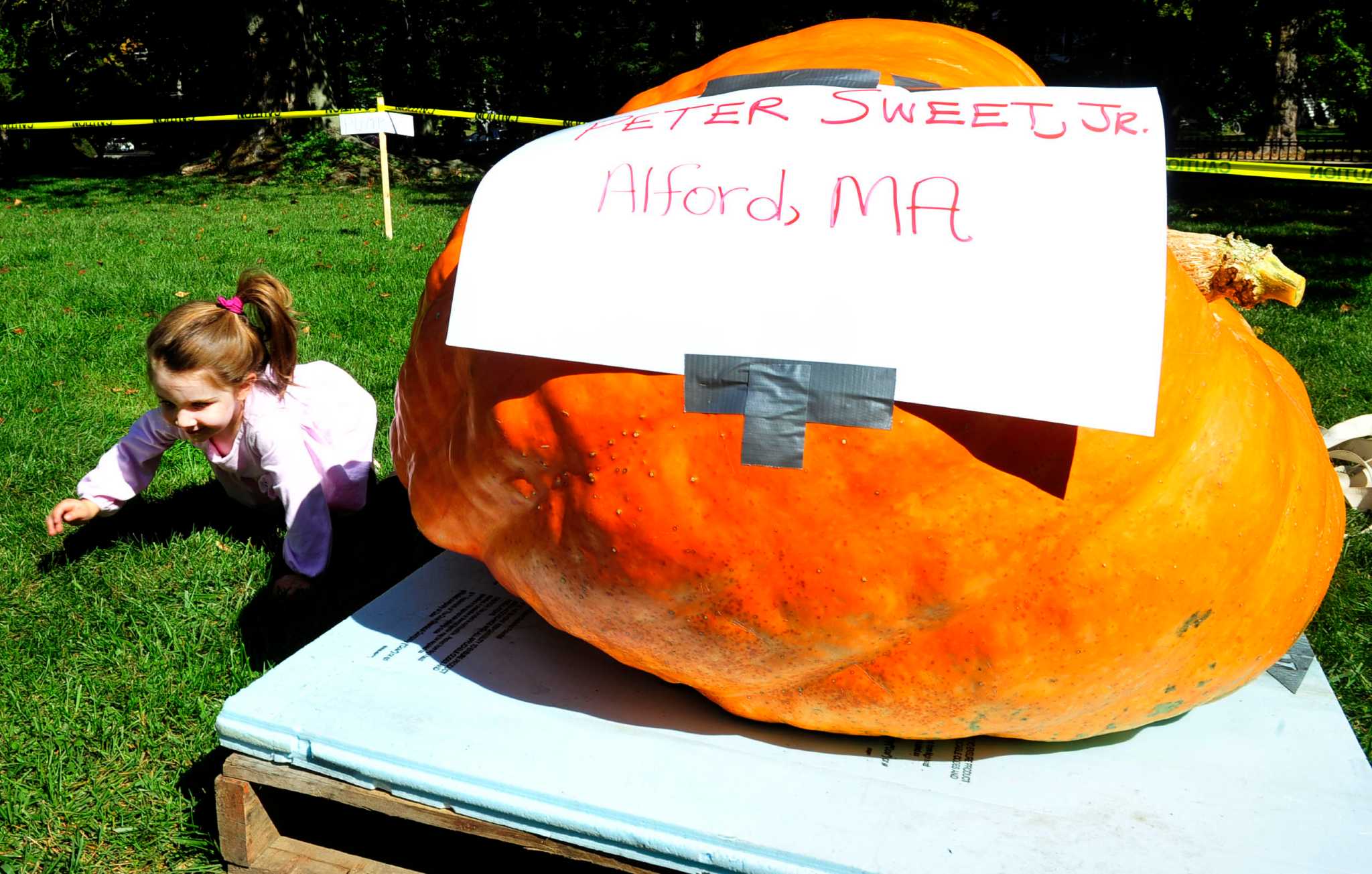 Pumpkin weighoff returns to Ridgefield