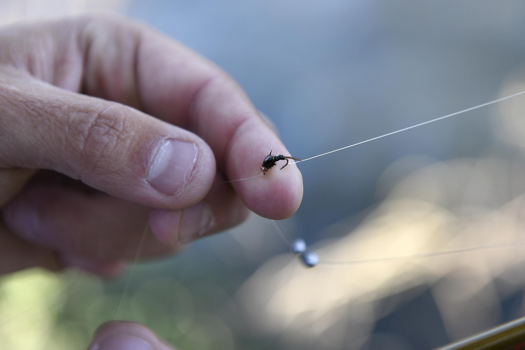 Fly fishing at Putah Creek in Yolo County