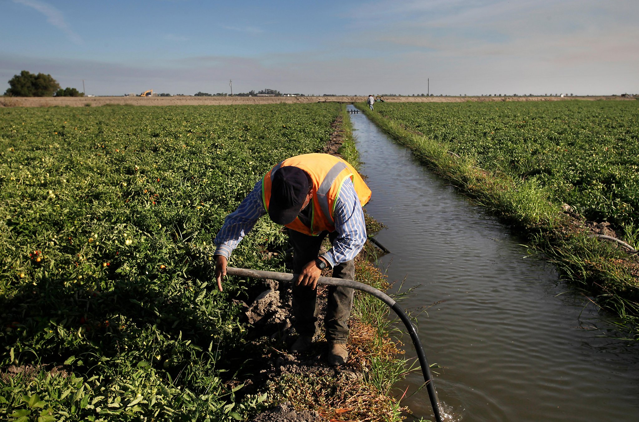 California rebels against federal water rules that tilt toward agriculture - San Francisco Chronicle