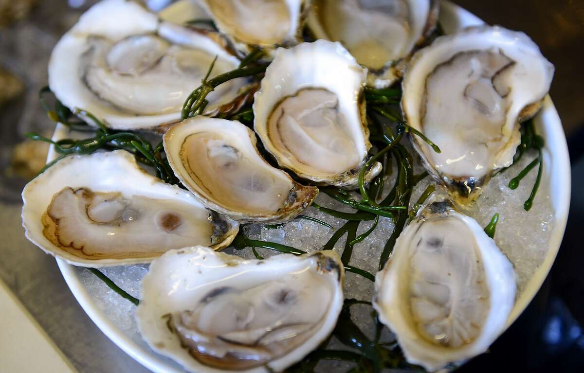 Report: Some New England shellfish contaminated