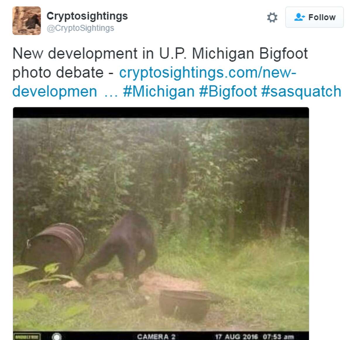 bigfoot toys for sale