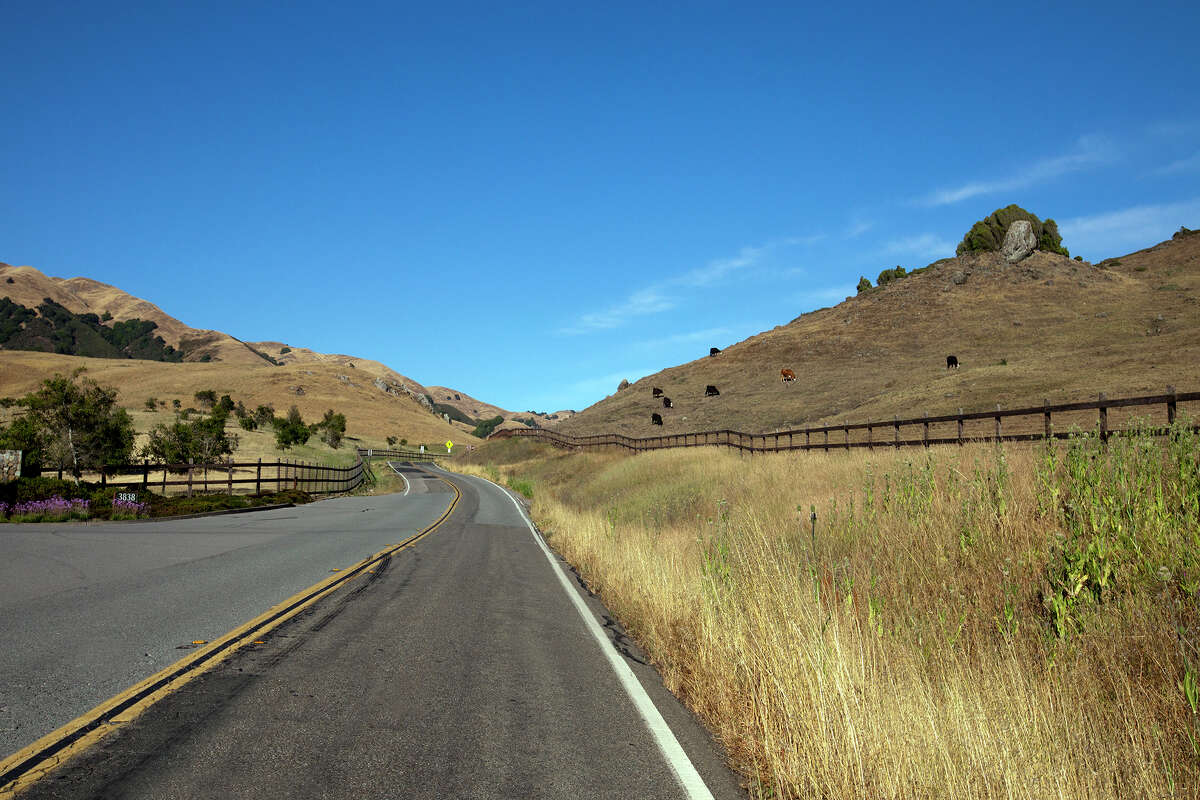 The most scenic routes near the Bay Area