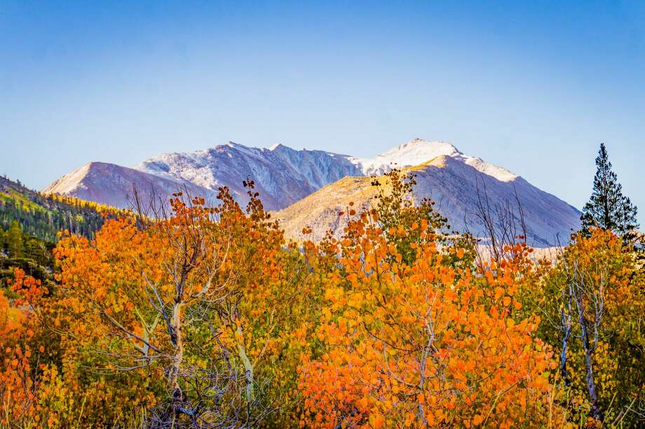 Fall foliage season arrives in Northern California - SFGate